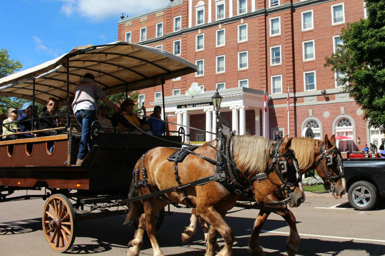 Horse and Carriage at Rodd Resort Charlottetown