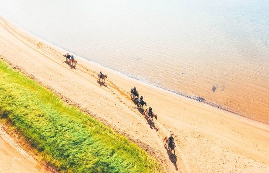 Horses and riders make their way along a picturesque PEI beach